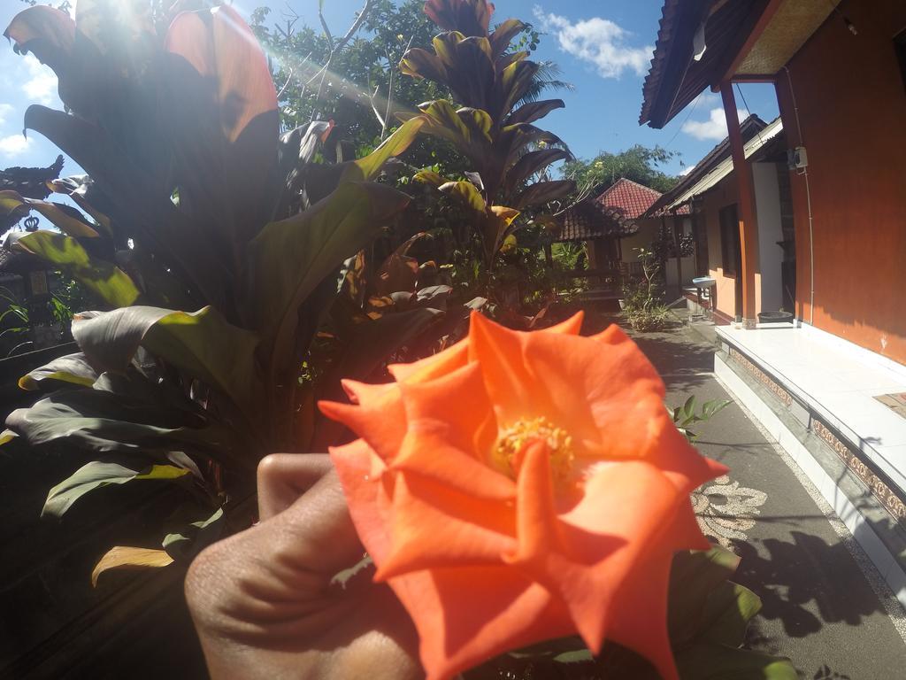 Dipa Home Stay Убуд Екстер'єр фото